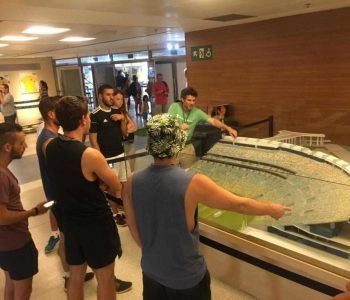 c946eca0-937a-4ae9-9d10-6d5d1c44c675-1024x768